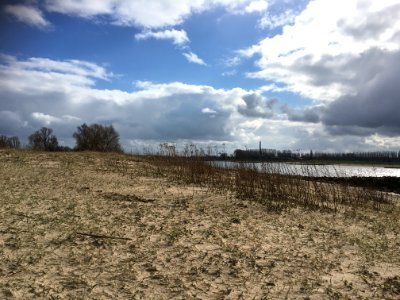Natural levee of the Waal