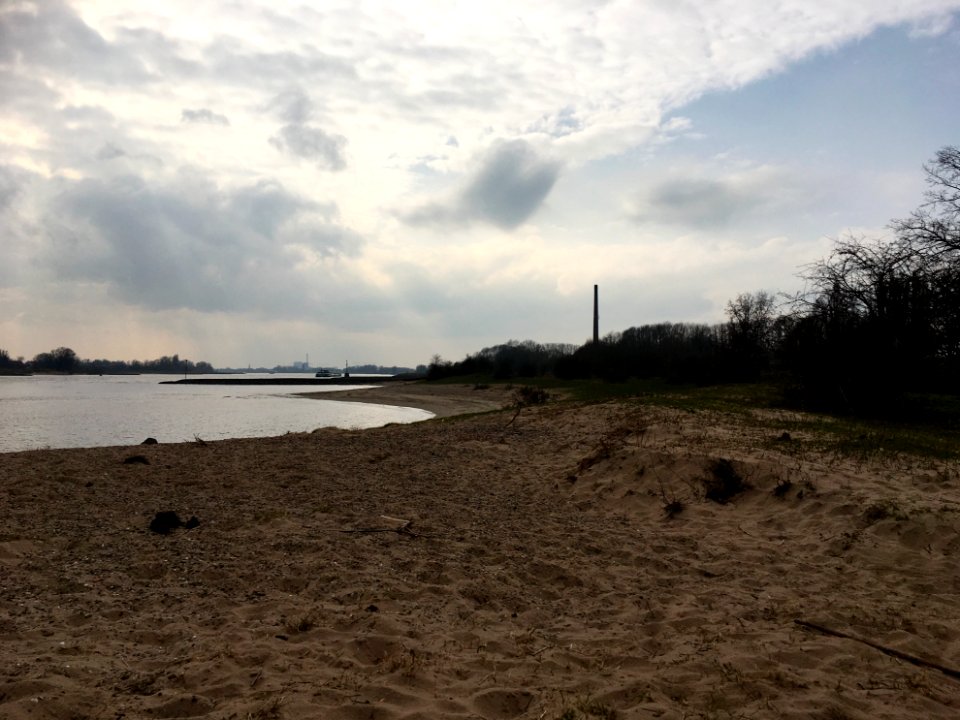 Natural levee in the river forelands of Haalderen
