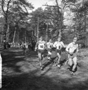 Nationale veldloop te Vught, start heren 10000 meter, Bestanddeelnr 916-1494