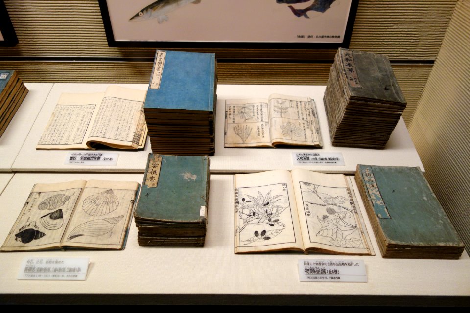 Natural history books by Honzo Komoku (1802), Gennai Hiraga and Motoo Tamura (1763), etc - National Museum of Nature and Science, Tokyo - DSC07421
