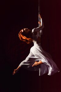 Elegant pole dance