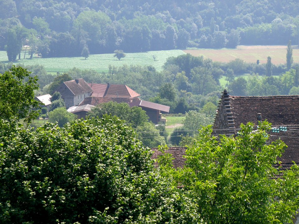 Nattages Château Bochard 3