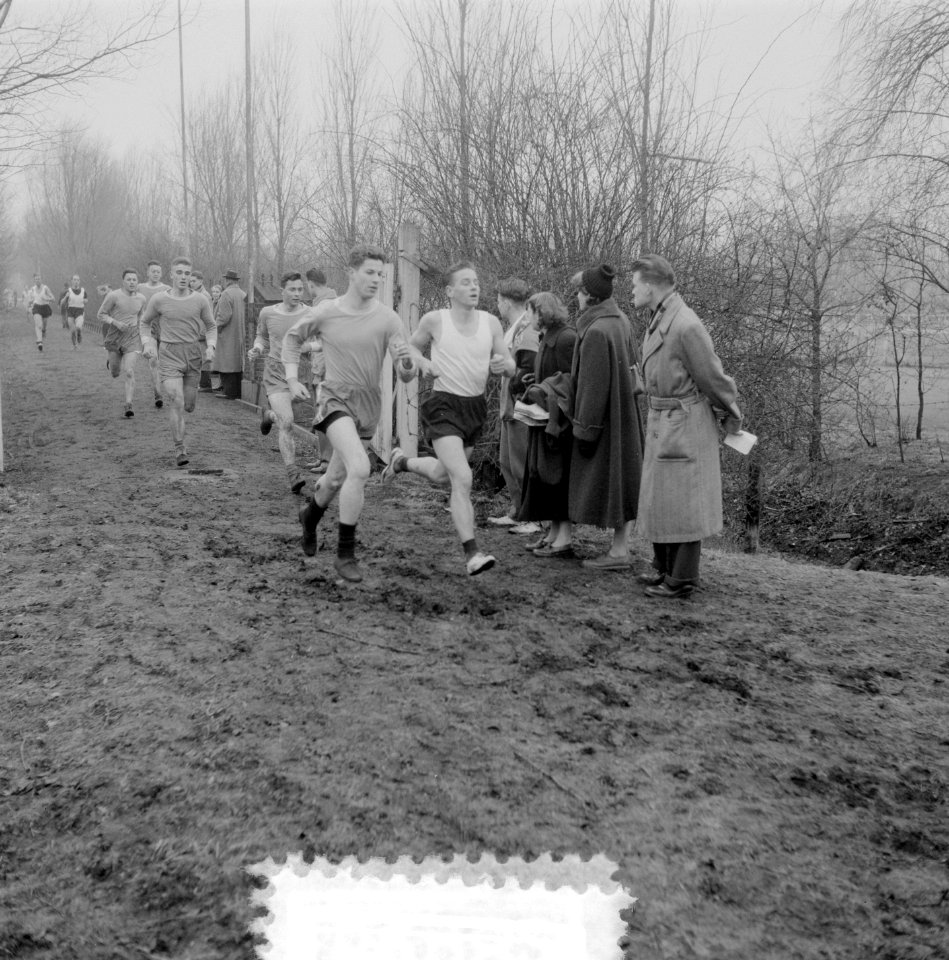 Nationale Bosloop Leiden, A + B klassers onderweg, Bestanddeelnr 906-2982