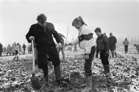 Nationale Boomfeestdag na zijn eigen boom te hebben geplant hielp premier Lubb, Bestanddeelnr 933-2710