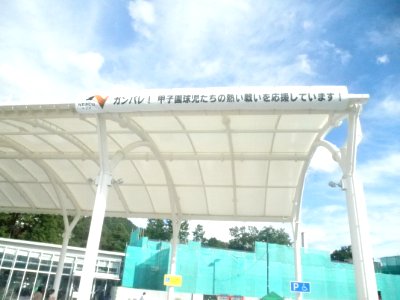 National High School Baseball Championship support curtain