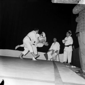 Nationale bondskampioenschappen Judo in Krasnapolski te Amsterdam, zwaargewichtk, Bestanddeelnr 915-9881