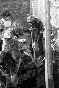 Nationale Boomplantdag, Amsterdam, Roel van Duijn plant boom, Bestanddeelnr 926-3055