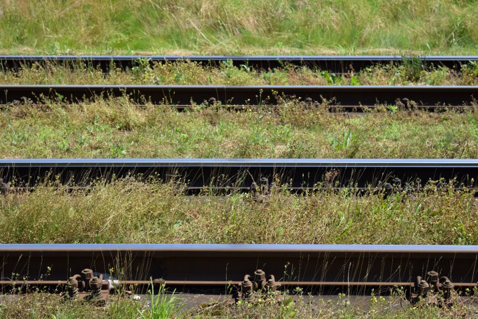 Double track overgrown grass