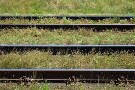 Double track overgrown grass