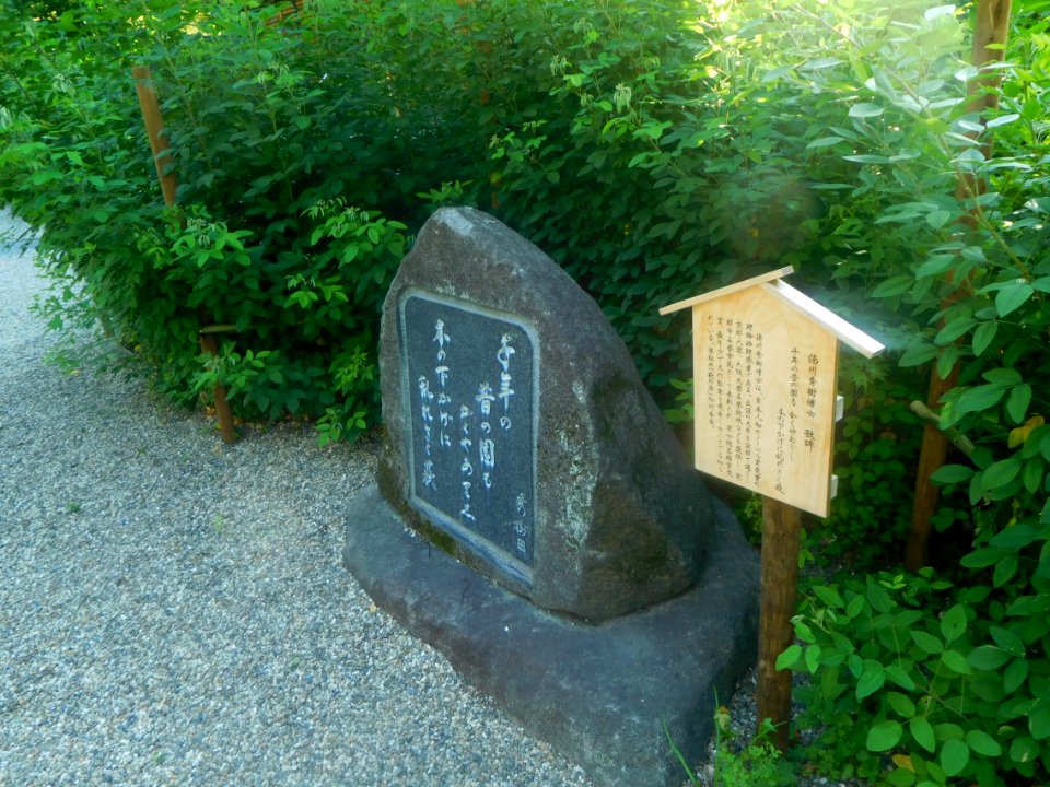 Nashinoki-jinja-011
