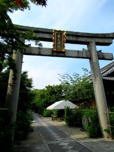 Nashinoki-jinja-027