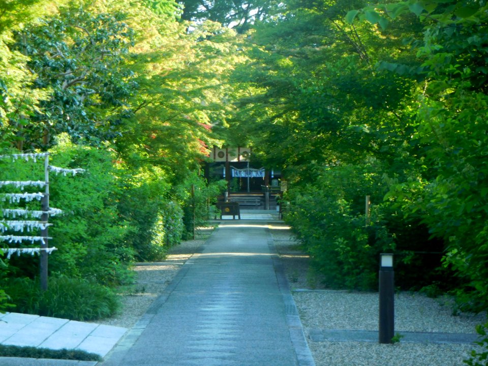 Nashinoki-jinja-012