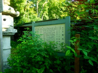 Nashinoki-jinja-016