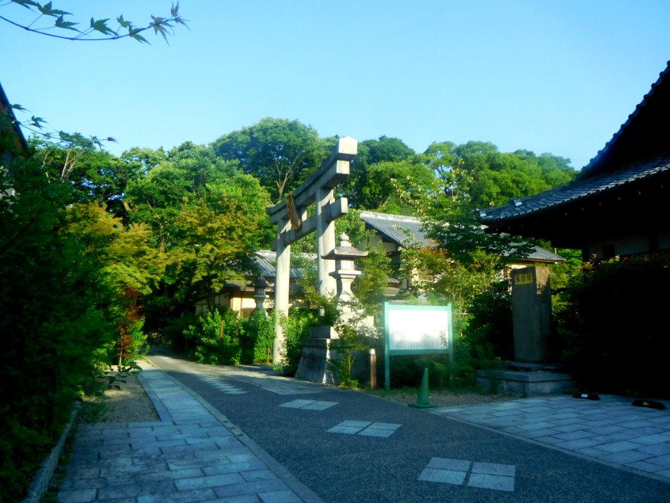 Nashinoki-jinja-003