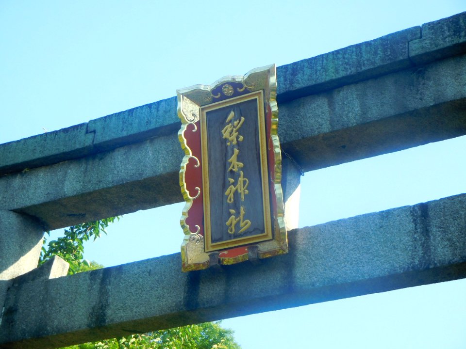 Nashinoki-jinja-006