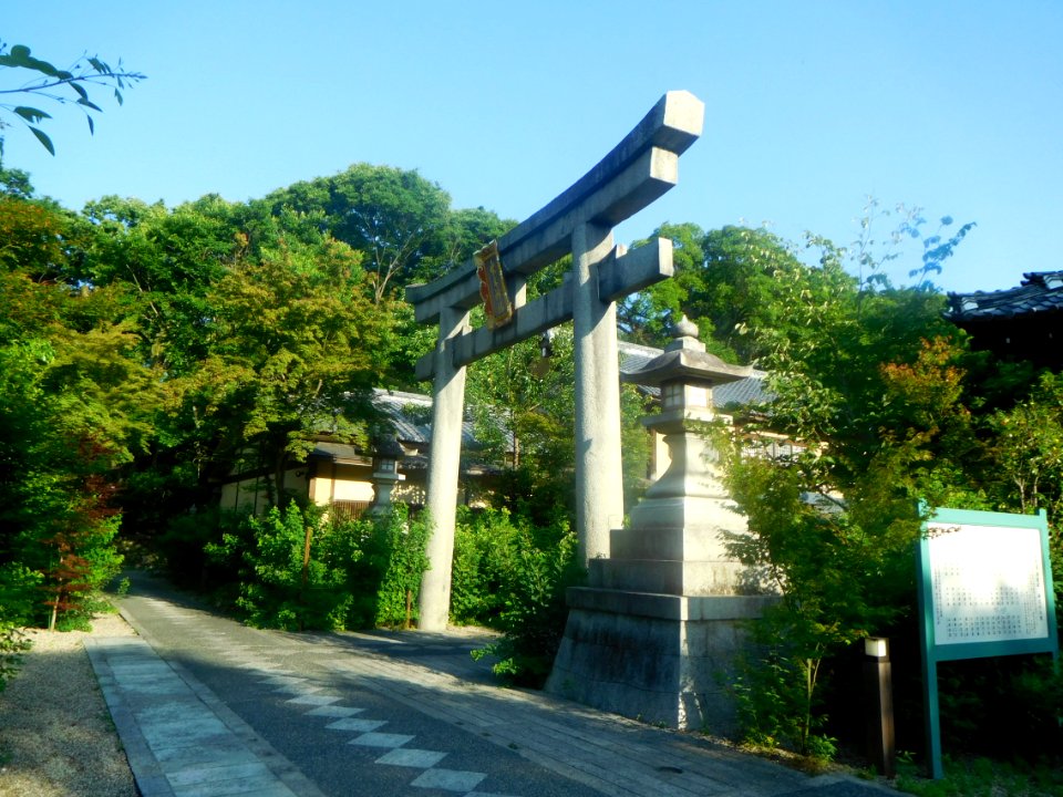 Nashinoki-jinja-004