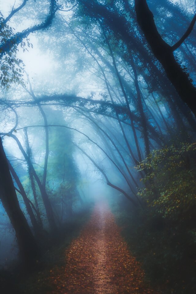 Fog mist haze