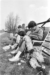 Narcissen in bollenstreek kinderen maken bloemenslingers, Bestanddeelnr 932-9368