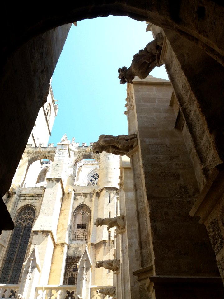 Narbonne - Cloître des Archevêques - Gargouilles