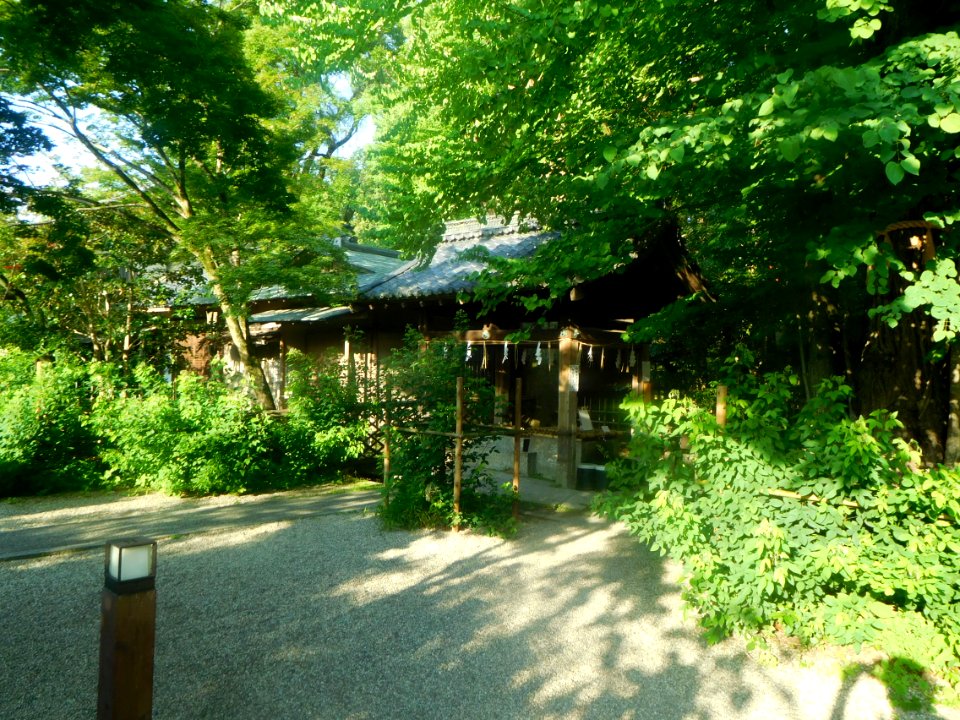 Nashinoki-jinja-013-Somei-no-mizu