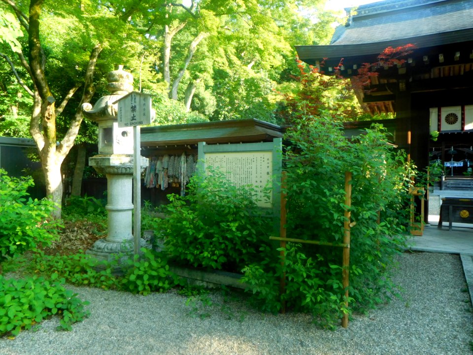 Nashinoki-jinja-015
