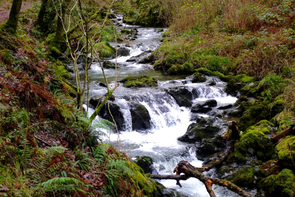 Nant Gwernol - Gwernol Stream