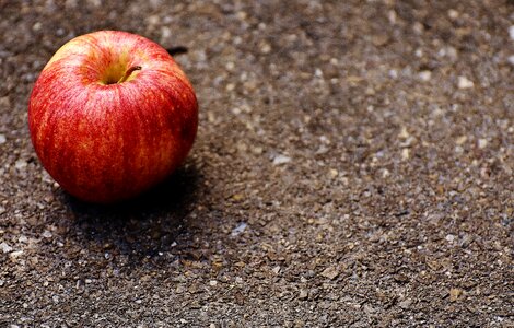Fruit ripe red apple