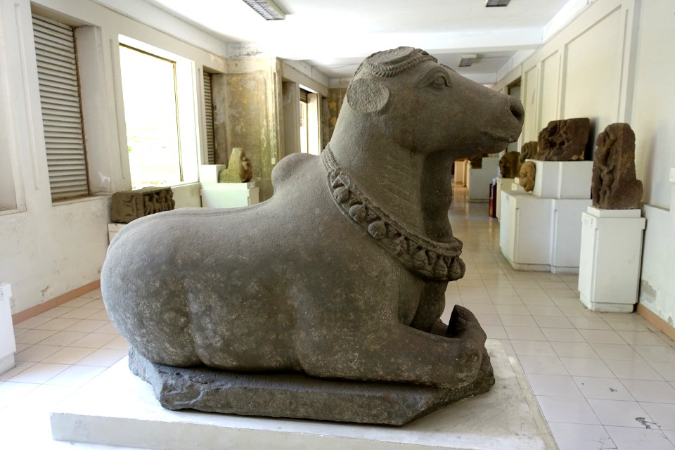 Nandi, view 2, Tra Kieu, 7th-8th century, Quang Nam - Museum of Cham Sculpture - Danang, Vietnam - DSC01873