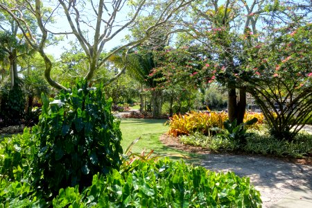 Naples Botanical Garden - Naples, Florida - DSC09628