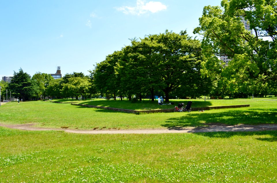 Naniwa-no-miya-ato, Choudouin-2