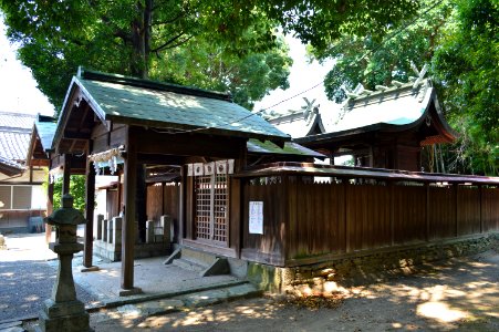 Naru-jinja honden