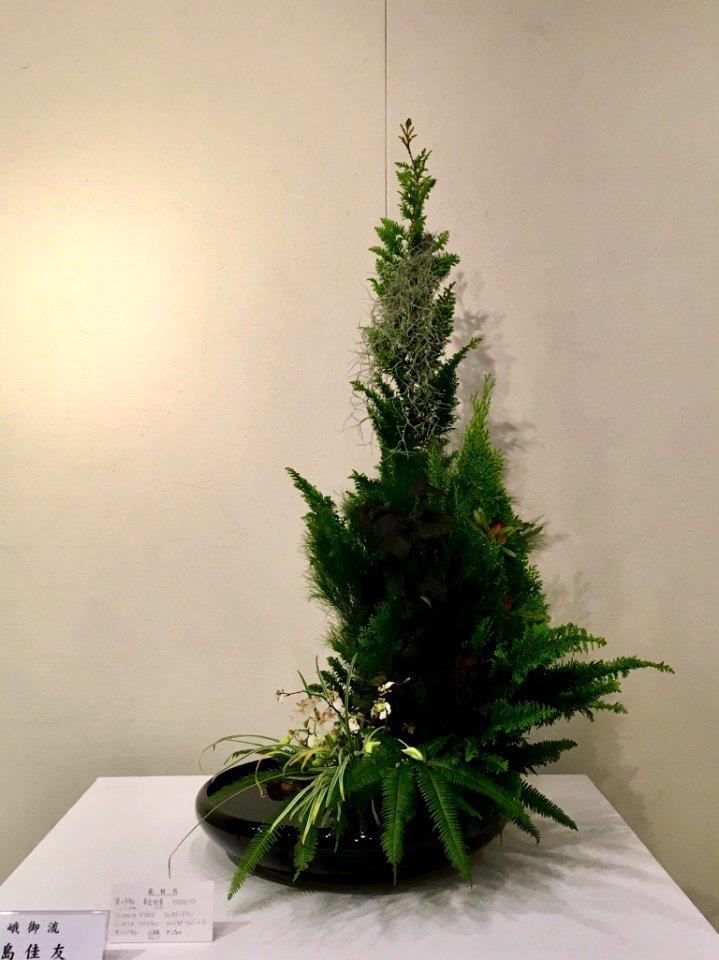 Nagoya Ikebana Art Exhibition Sakae Nov 2018 13