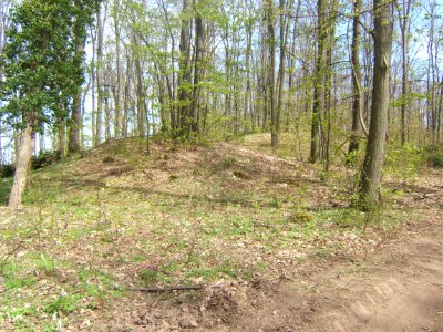 Nagyberki, szalacskai halomsírok