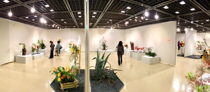 Nagoya Ikebana Art Exhibition Sakae Nov 2018 78