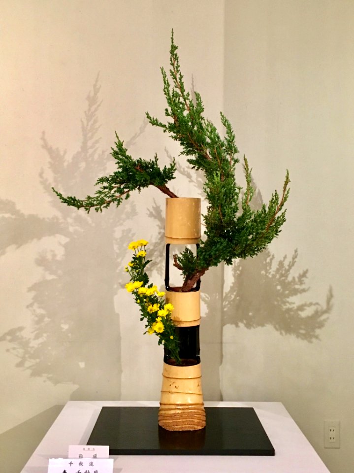 Nagoya Ikebana Art Exhibition Sakae Nov 2018 59