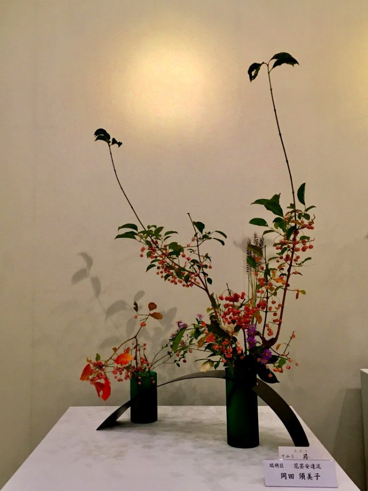 Nagoya Ikebana Art Exhibition Sakae Nov 2018 27