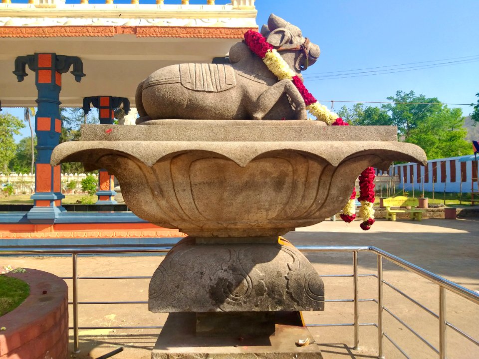 Nandi at Mahanadi Temple, Mahanandi, Andhra Pradesh India - 1