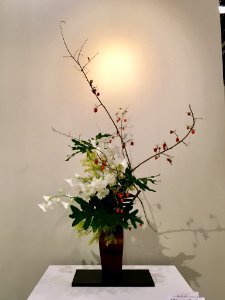 Nagoya Ikebana Art Exhibition Sakae Nov 2018 26