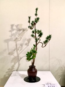 Nagoya Ikebana Art Exhibition Sakae Nov 2018 19