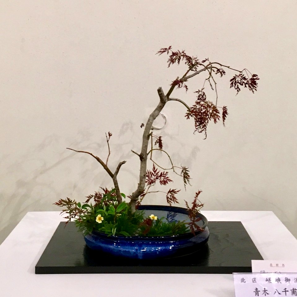 Nagoya Ikebana Art Exhibition Sakae Nov 2018 22
