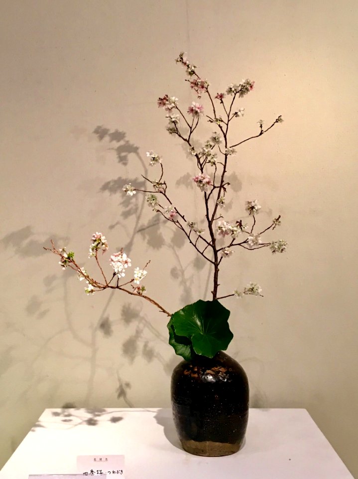 Nagoya Ikebana Art Exhibition Sakae Nov 2018 38