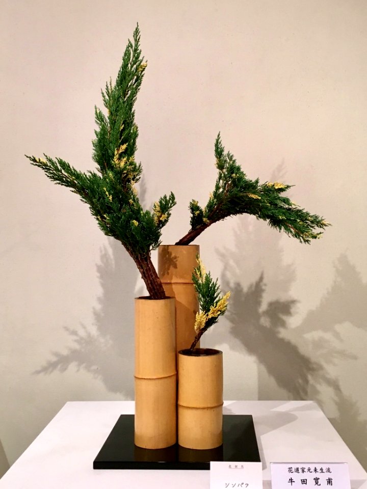 Nagoya Ikebana Art Exhibition Sakae Nov 2018 52