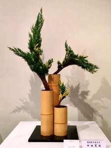Nagoya Ikebana Art Exhibition Sakae Nov 2018 52