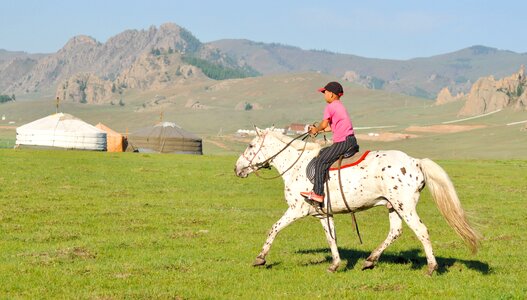 Nature equestrian horse riding