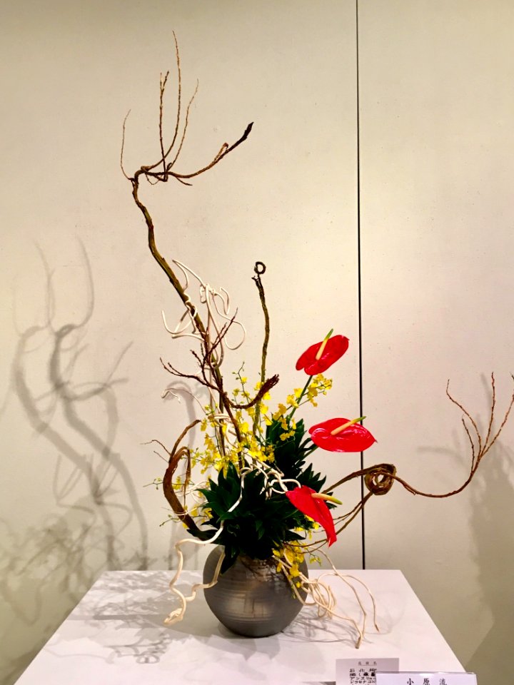 Nagoya Ikebana Art Exhibition Sakae Nov 2018 09