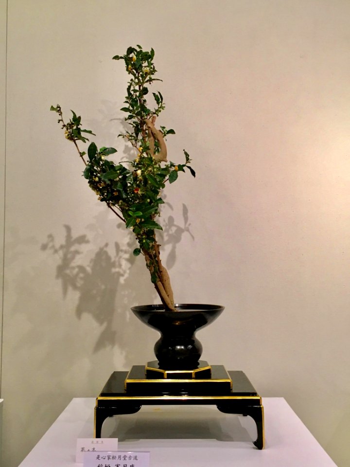 Nagoya Ikebana Art Exhibition Sakae Nov 2018 49