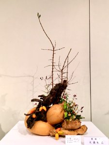 Nagoya Ikebana Art Exhibition Sakae Nov 2018 53