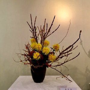 Nagoya Ikebana Art Exhibition Sakae Nov 2018 33