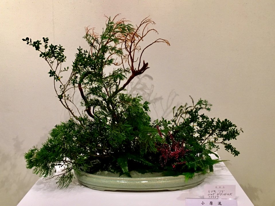 Nagoya Ikebana Art Exhibition Sakae Nov 2018 07