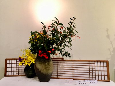 Nagoya Ikebana Art Exhibition Sakae Nov 2018 60